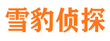 晴隆市侦探公司